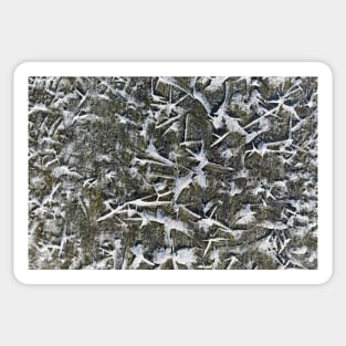 Sharp icicles Sticker